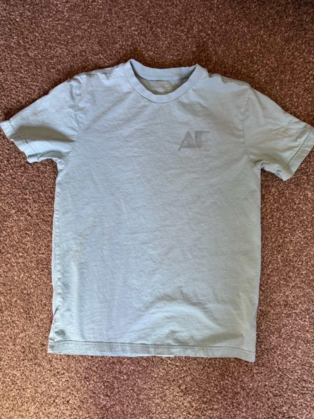 American Eagle Outfitters Men’s Sage Green Crewneck Tee